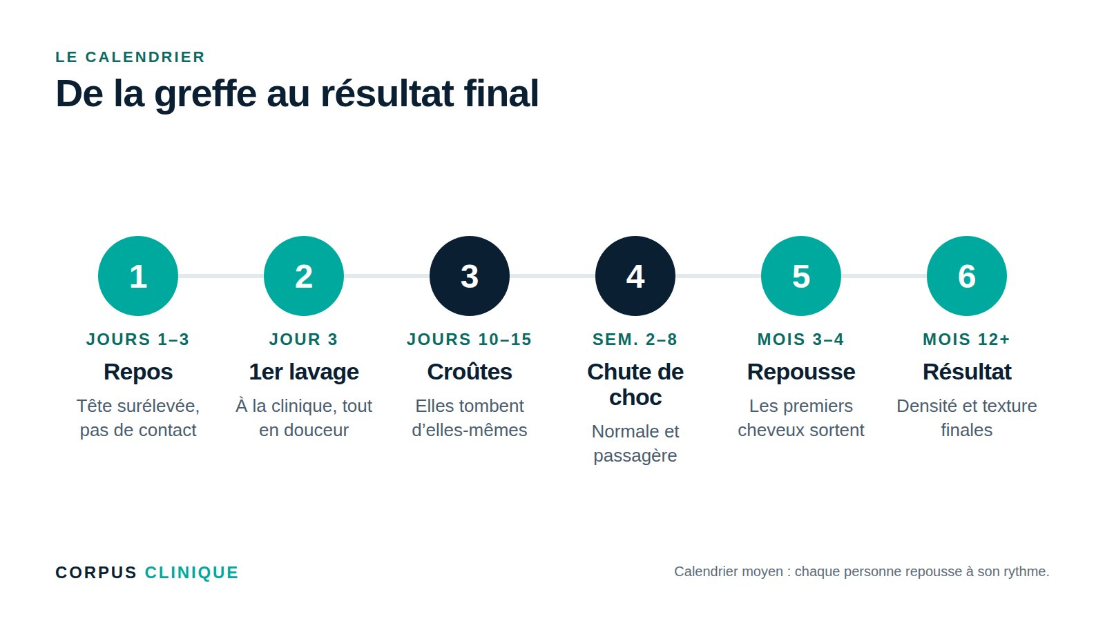 Calendrier de la repousse après une greffe de cheveux